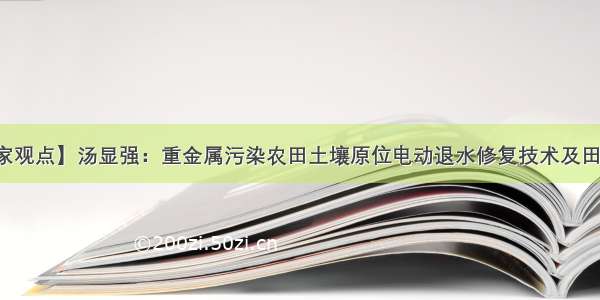 【专家观点】汤显强：重金属污染农田土壤原位电动退水修复技术及田间示范