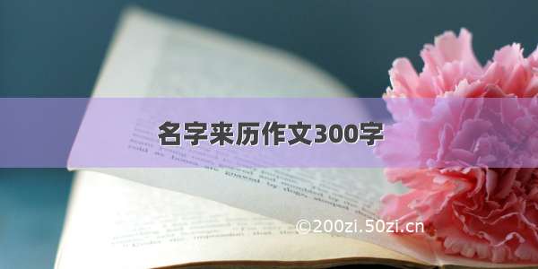 名字来历作文300字