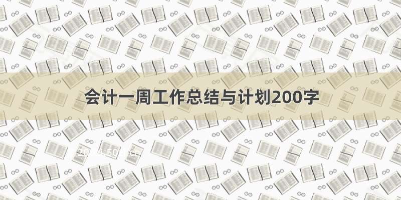 会计一周工作总结与计划200字