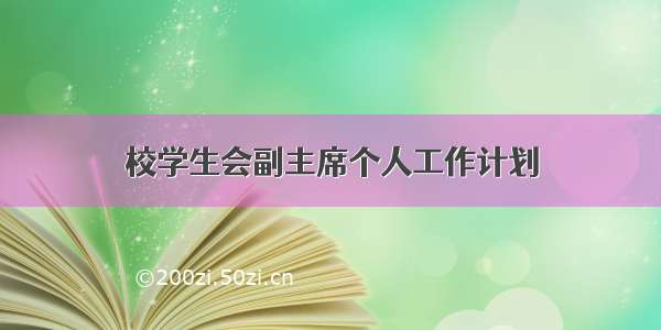 校学生会副主席个人工作计划