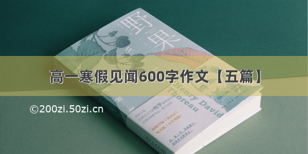 高一寒假见闻600字作文【五篇】