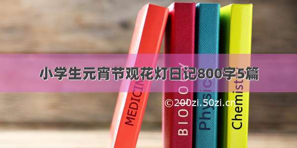 小学生元宵节观花灯日记800字5篇