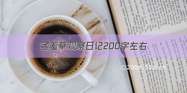 含羞草观察日记200字左右