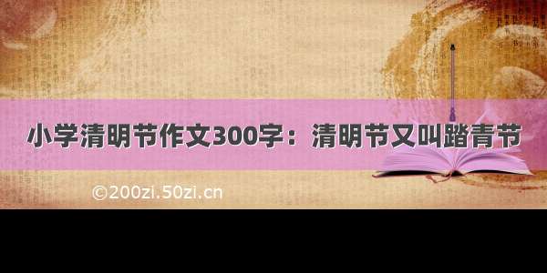 小学清明节作文300字：清明节又叫踏青节