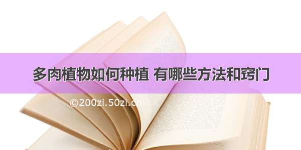 多肉植物如何种植 有哪些方法和窍门