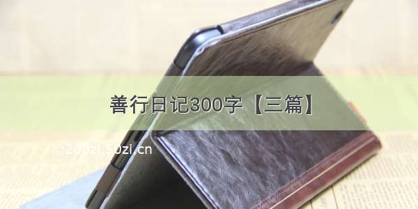 善行日记300字【三篇】