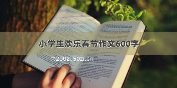 小学生欢乐春节作文600字