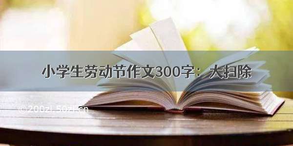 小学生劳动节作文300字：大扫除