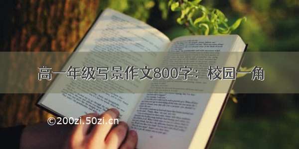 高一年级写景作文800字：校园一角