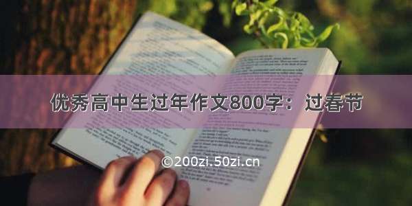 优秀高中生过年作文800字：过春节