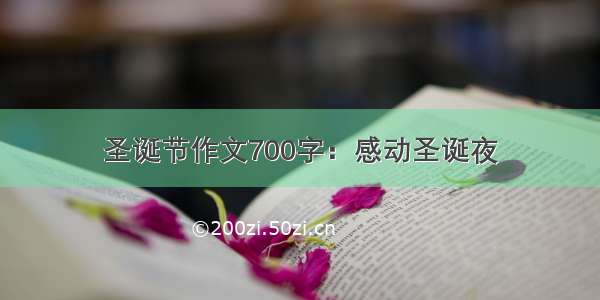 圣诞节作文700字：感动圣诞夜