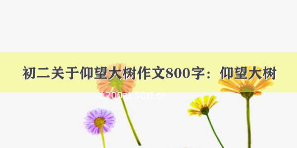 初二关于仰望大树作文800字：仰望大树