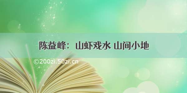 陈益峰：山虾戏水 山间小地