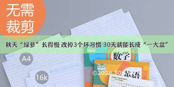 秋天“绿萝”长得慢 改掉3个坏习惯 30天就能长成“一大盆”