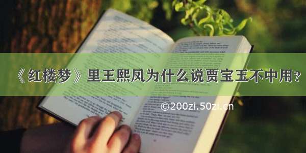 《红楼梦》里王熙凤为什么说贾宝玉不中用？