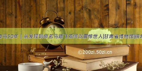 铜奔马50年｜从发现到命名马踏飞燕何以震惊世人|甘肃省博物馆|铜奔马