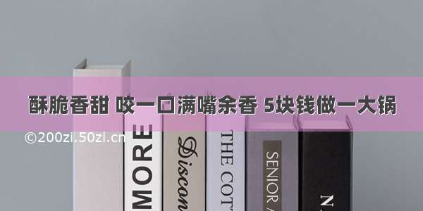 酥脆香甜 咬一口满嘴余香 5块钱做一大锅