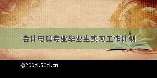 会计电算专业毕业生实习工作计划