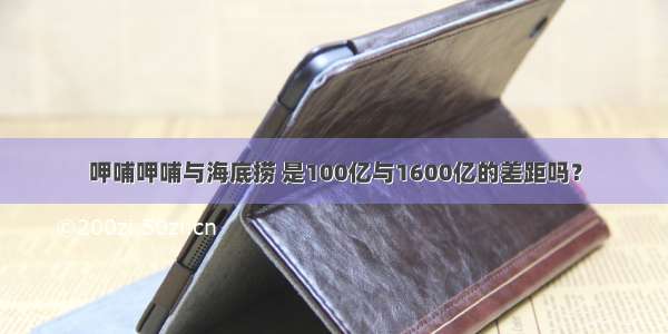 呷哺呷哺与海底捞 是100亿与1600亿的差距吗？