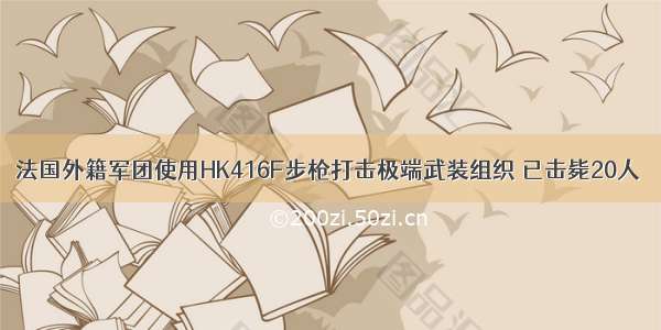 法国外籍军团使用HK416F步枪打击极端武装组织 已击毙20人