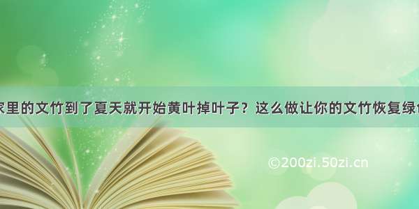 家里的文竹到了夏天就开始黄叶掉叶子？这么做让你的文竹恢复绿色