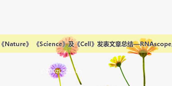 10月《Nature》 《Science》及《Cell》发表文章总结—RNAscope应用...