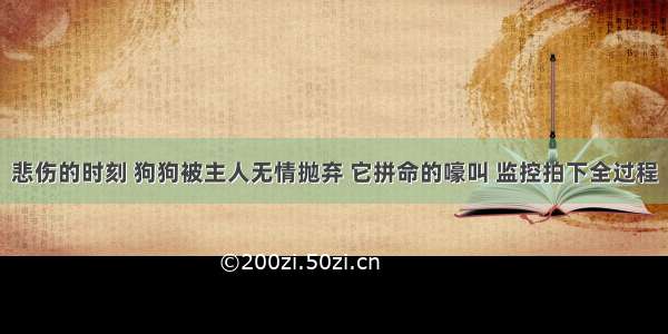 悲伤的时刻 狗狗被主人无情抛弃 它拼命的嚎叫 监控拍下全过程