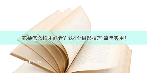 花朵怎么拍才好看？这4个摄影技巧 简单实用！