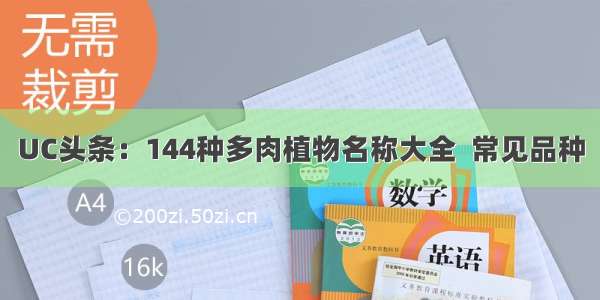 UC头条：144种多肉植物名称大全  常见品种