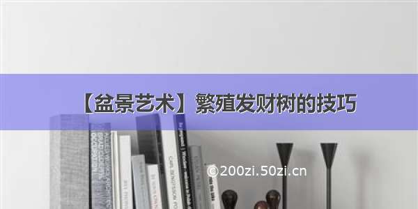 【盆景艺术】繁殖发财树的技巧