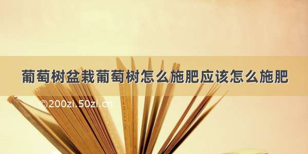 葡萄树盆栽葡萄树怎么施肥应该怎么施肥