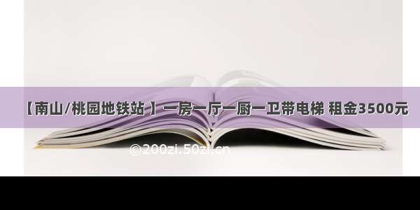 【南山/桃园地铁站 】一房一厅一厨一卫带电梯 租金3500元