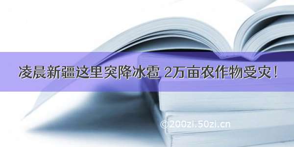 凌晨新疆这里突降冰雹 2万亩农作物受灾！