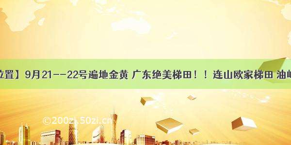 成行【还有位置】9月21--22号遍地金黄 广东绝美梯田！！连山欧家梯田 油岭千年古瑶寨