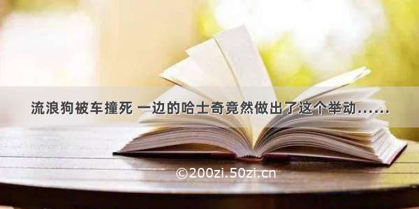 流浪狗被车撞死 一边的哈士奇竟然做出了这个举动……