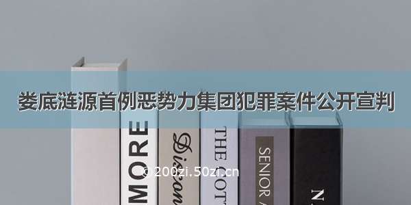 娄底涟源首例恶势力集团犯罪案件公开宣判