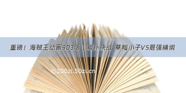 重磅！海贼王动画903话 | 相扑决战 草帽小子VS最强横纲