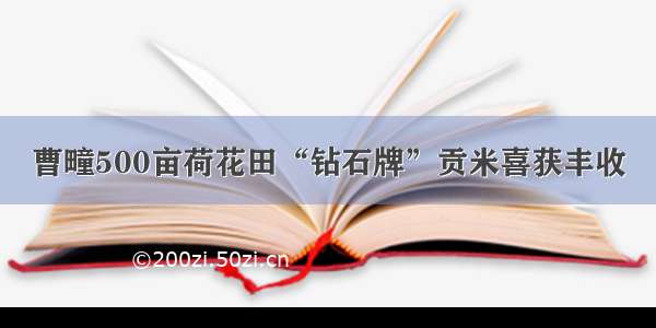 曹疃500亩荷花田“钻石牌”贡米喜获丰收