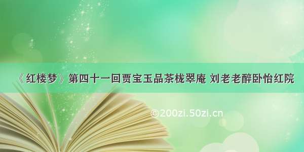 《红楼梦》第四十一回贾宝玉品茶栊翠庵 刘老老醉卧怡红院