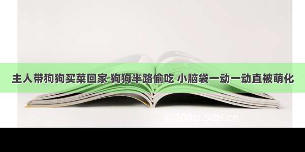 主人带狗狗买菜回家 狗狗半路偷吃 小脑袋一动一动直被萌化