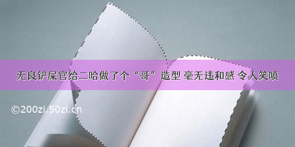 无良铲屎官给二哈做了个“哥”造型 毫无违和感 令人笑喷