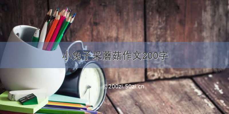 小兔子采蘑菇作文200字