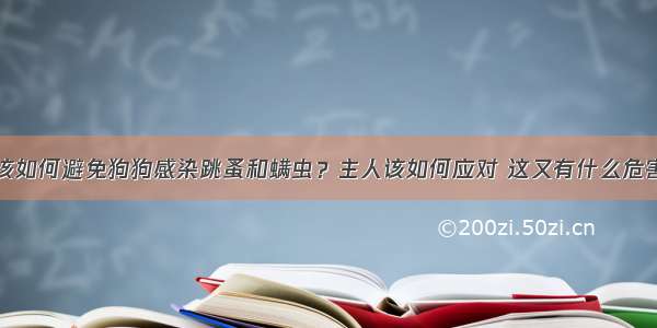 该如何避免狗狗感染跳蚤和螨虫？主人该如何应对 这又有什么危害