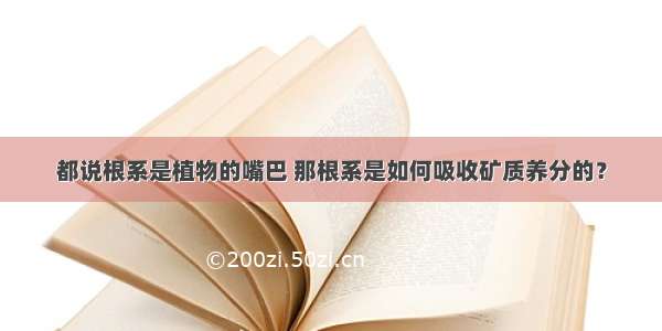 都说根系是植物的嘴巴 那根系是如何吸收矿质养分的？