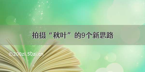 拍摄“秋叶”的9个新思路