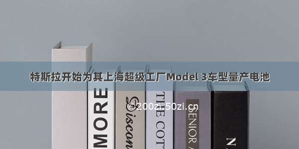 特斯拉开始为其上海超级工厂Model 3车型量产电池