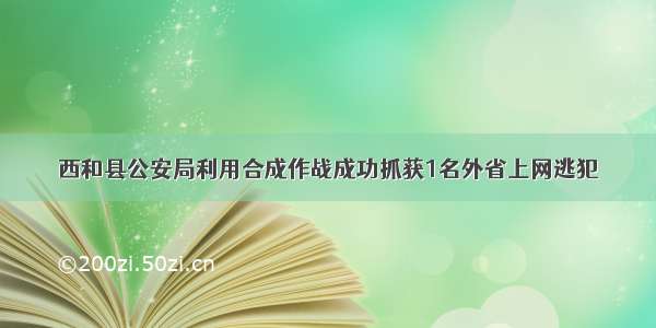 西和县公安局利用合成作战成功抓获1名外省上网逃犯