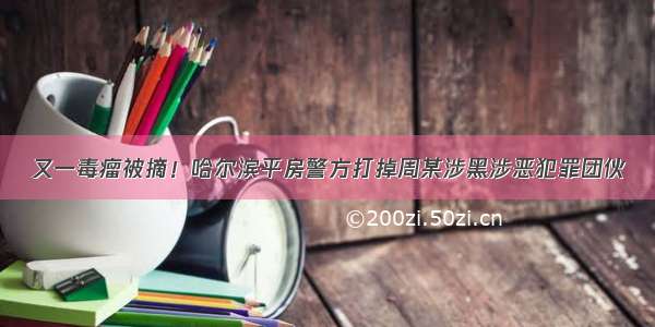 又一毒瘤被摘！哈尔滨平房警方打掉周某涉黑涉恶犯罪团伙