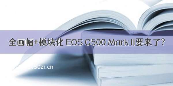 全画幅+模块化 EOS C500 Mark II要来了？