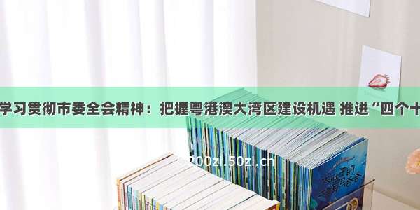 高埗传达学习贯彻市委全会精神：把握粤港澳大湾区建设机遇 推进“四个十大工程”